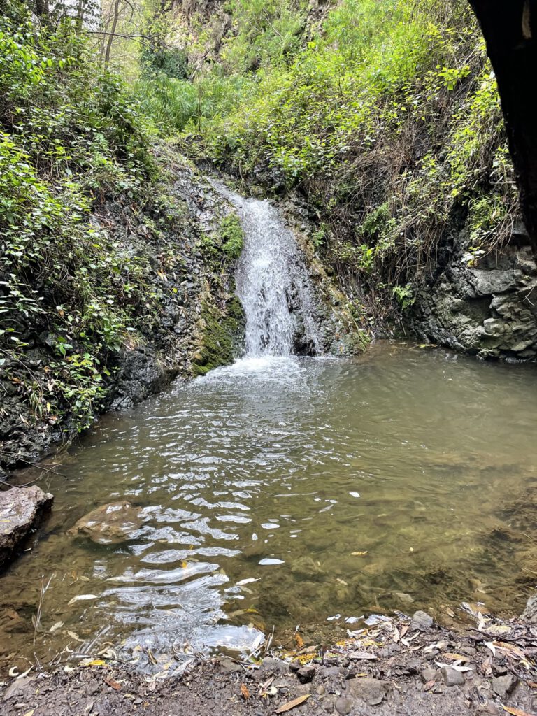 Waterfall in the green north