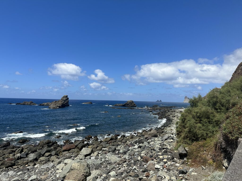 Wild coastline