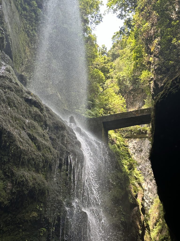 A waterfall right on the trail